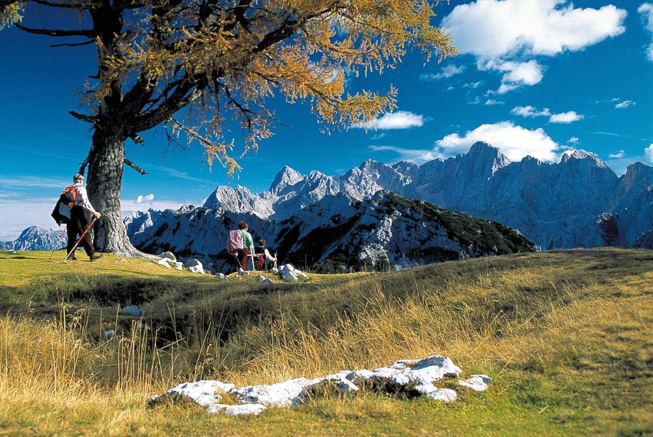 Kronau Chalet Resort Kranjska Gora Exterior foto